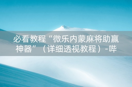 必看教程“微乐内蒙麻将助赢神器”（详细透视教程）-哔哩哔哩