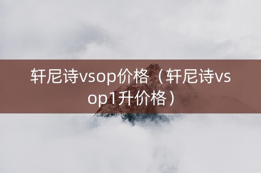 轩尼诗vsop价格（轩尼诗vsop1升价格）
