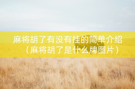 麻将胡了有没有挂的简单介绍（麻将胡了是什么牌图片）