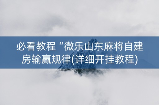 必看教程“微乐山东麻将自建房输赢规律(详细开挂教程)