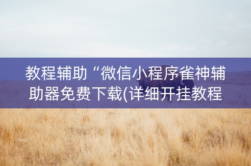 教程辅助“微信小程序雀神辅助器免费下载(详细开挂教程)