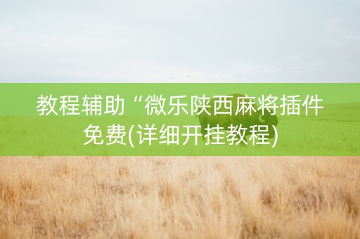 教程辅助“微乐陕西麻将插件免费(详细开挂教程)
