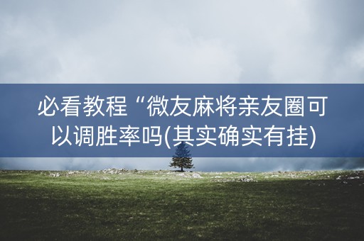 必看教程“微友麻将亲友圈可以调胜率吗(其实确实有挂)