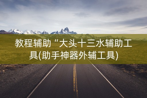 教程辅助“大头十三水辅助工具(助手神器外辅工具)