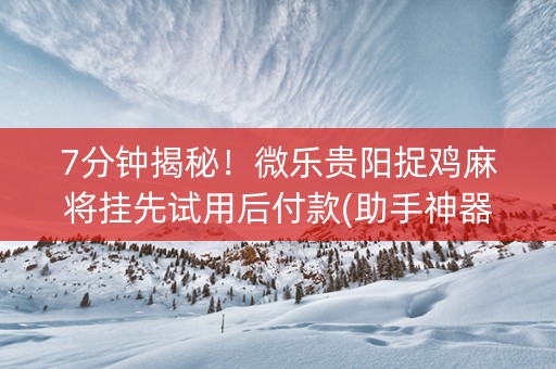 7分钟揭秘！微乐贵阳捉鸡麻将挂先试用后付款(助手神器外辅工具)