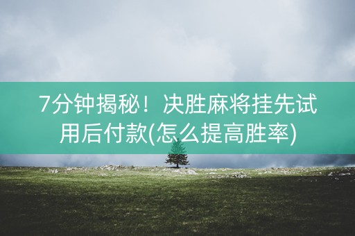 7分钟揭秘！决胜麻将挂先试用后付款(怎么提高胜率)