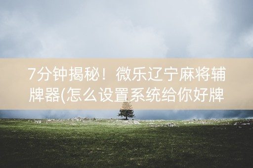 7分钟揭秘！微乐辽宁麻将辅牌器(怎么设置系统给你好牌)