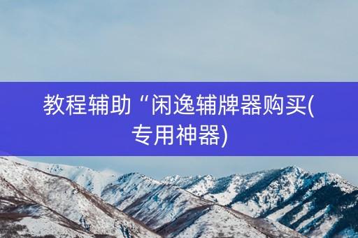 教程辅助“闲逸辅牌器购买(专用神器)