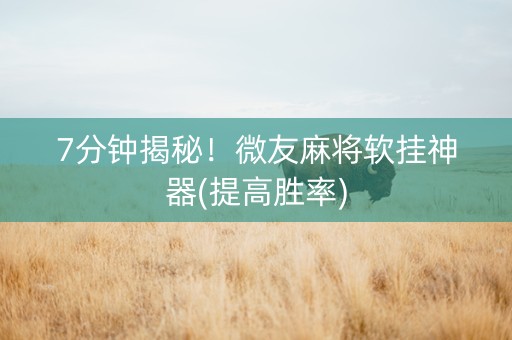7分钟揭秘！微友麻将软挂神器(提高胜率)