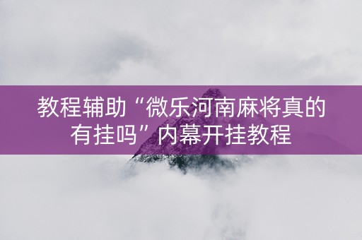 教程辅助“微乐河南麻将真的有挂吗”内幕开挂教程