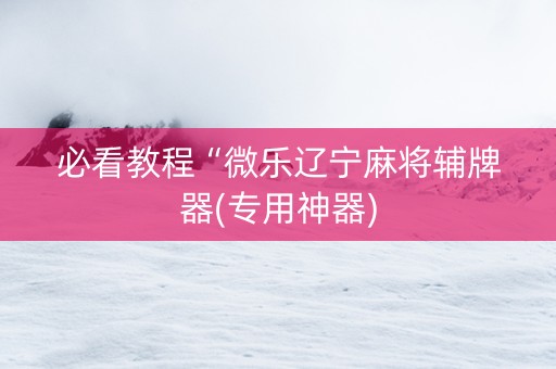 必看教程“微乐辽宁麻将辅牌器(专用神器)