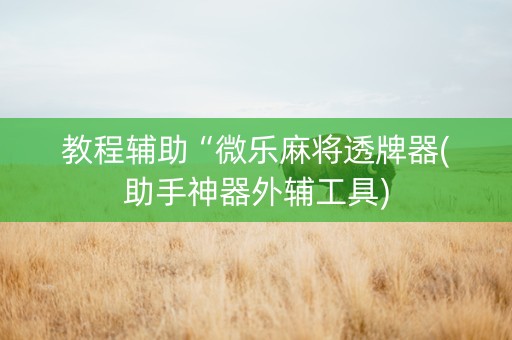 教程辅助“微乐麻将透牌器(助手神器外辅工具)