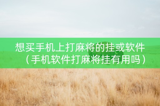 想买手机上打麻将的挂或软件（手机软件打麻将挂有用吗）