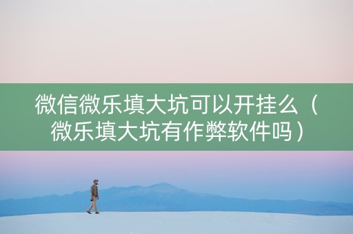 微信微乐填大坑可以开挂么（微乐填大坑有作弊软件吗）