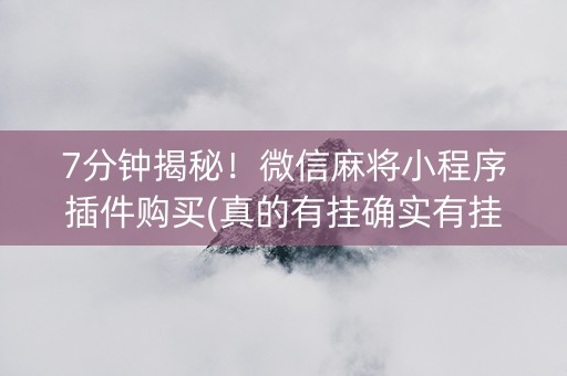 7分钟揭秘！微信麻将小程序插件购买(真的有挂确实有挂)