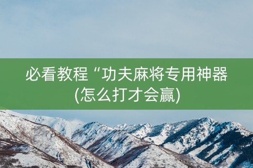 必看教程“功夫麻将专用神器(怎么打才会赢)