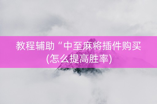 教程辅助“中至麻将插件购买(怎么提高胜率)