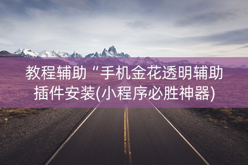 教程辅助“手机金花透明辅助插件安装(小程序必胜神器)