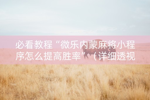 必看教程“微乐内蒙麻将小程序怎么提高胜率”（详细透视教程）-哔哩哔哩