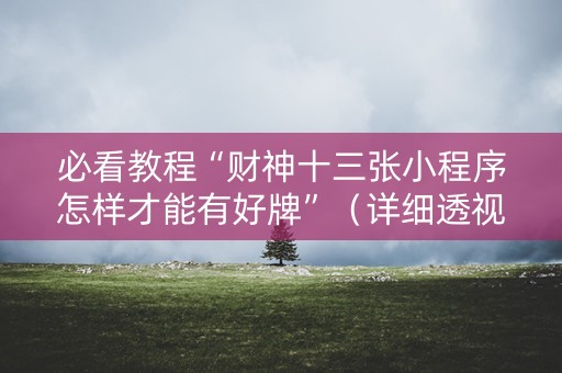 必看教程“财神十三张小程序怎样才能有好牌”（详细透视教程）-哔哩哔哩