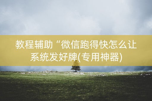 教程辅助“微信跑得快怎么让系统发好牌(专用神器)