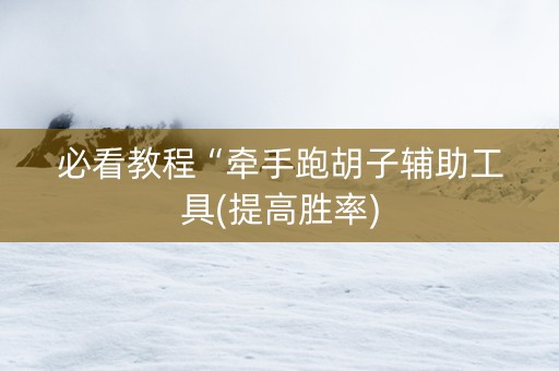 必看教程“牵手跑胡子辅助工具(提高胜率)