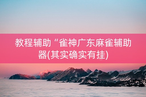 教程辅助“雀神广东麻雀辅助器(其实确实有挂)