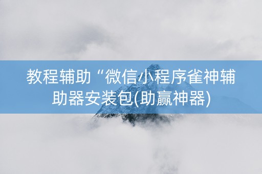 教程辅助“微信小程序雀神辅助器安装包(助赢神器)