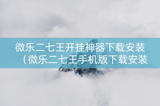微乐二七王开挂神器下载安装（微乐二七王手机版下载安装）
