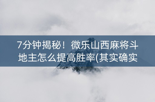 7分钟揭秘！微乐山西麻将斗地主怎么提高胜率(其实确实有挂)