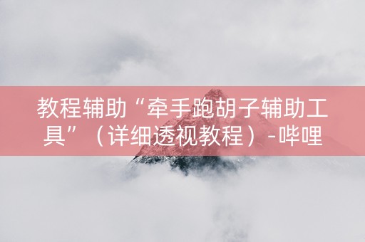 教程辅助“牵手跑胡子辅助工具”（详细透视教程）-哔哩哔哩