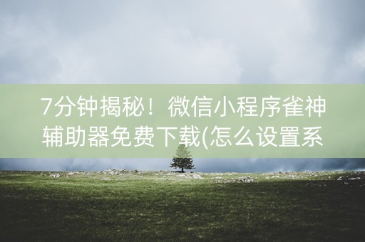 7分钟揭秘！微信小程序雀神辅助器免费下载(怎么设置系统给你好牌)