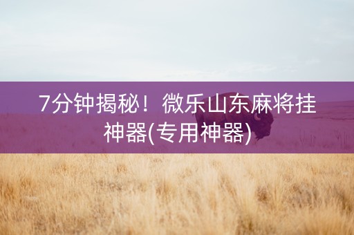 7分钟揭秘！微乐山东麻将挂神器(专用神器)