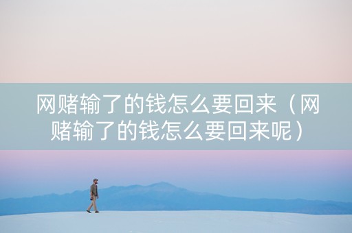 网赌输了的钱怎么要回来（网赌输了的钱怎么要回来呢）