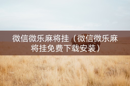 微信微乐麻将挂（微信微乐麻将挂免费下载安装）
