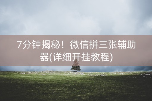 7分钟揭秘！微信拼三张辅助器(详细开挂教程)