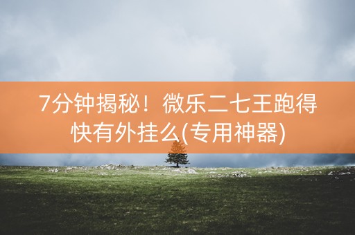 7分钟揭秘！微乐二七王跑得快有外挂么(专用神器)