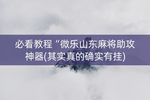 必看教程“微乐山东麻将助攻神器(其实真的确实有挂)