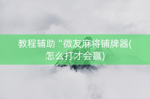教程辅助“微友麻将铺牌器(怎么打才会赢)