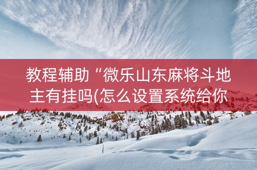 教程辅助“微乐山东麻将斗地主有挂吗(怎么设置系统给你好牌)