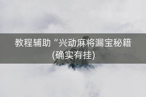 教程辅助“兴动麻将漏宝秘籍(确实有挂)