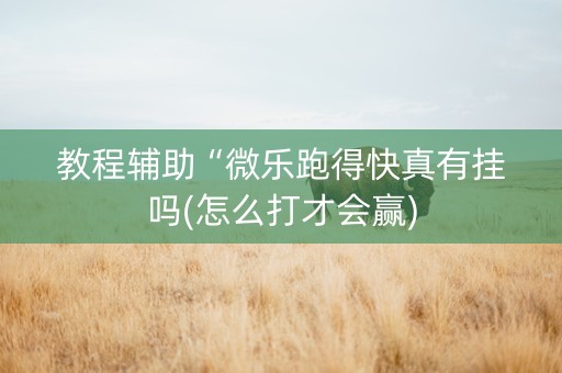 教程辅助“微乐跑得快真有挂吗(怎么打才会赢)