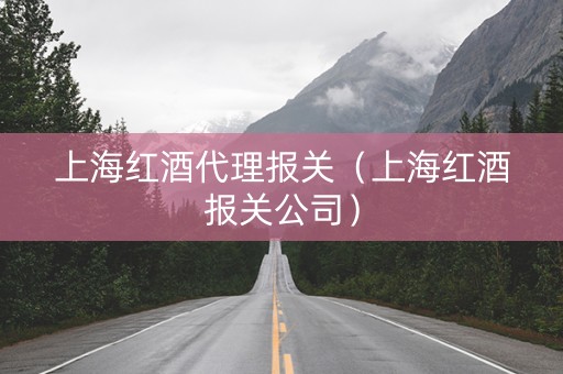 上海红酒代理报关（上海红酒报关公司）