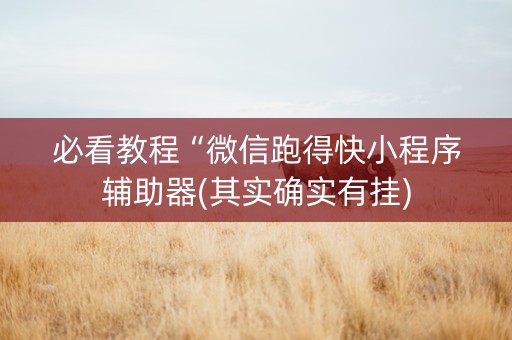 必看教程“微信跑得快小程序辅助器(其实确实有挂)