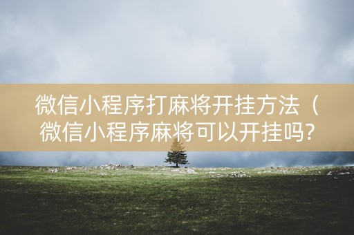 微信小程序打麻将开挂方法（微信小程序麻将可以开挂吗?）