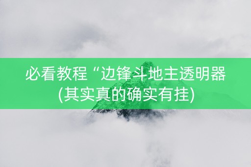 必看教程“边锋斗地主透明器(其实真的确实有挂)