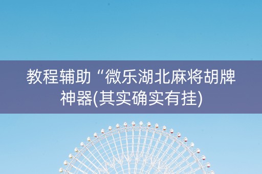 教程辅助“微乐湖北麻将胡牌神器(其实确实有挂)