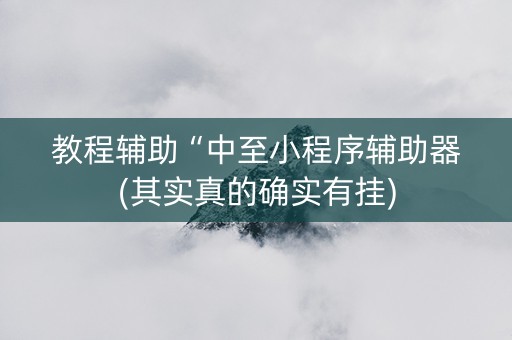 教程辅助“中至小程序辅助器(其实真的确实有挂)