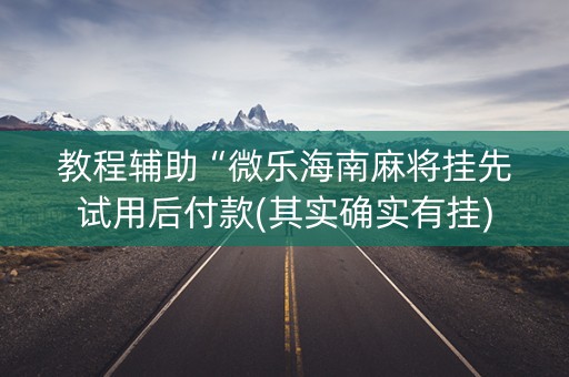 教程辅助“微乐海南麻将挂先试用后付款(其实确实有挂)