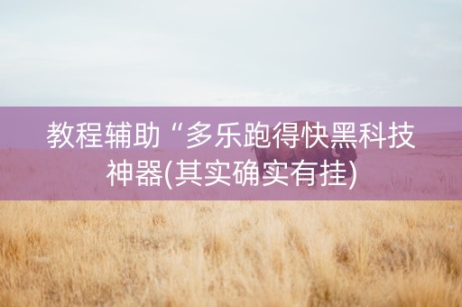 教程辅助“多乐跑得快黑科技神器(其实确实有挂)